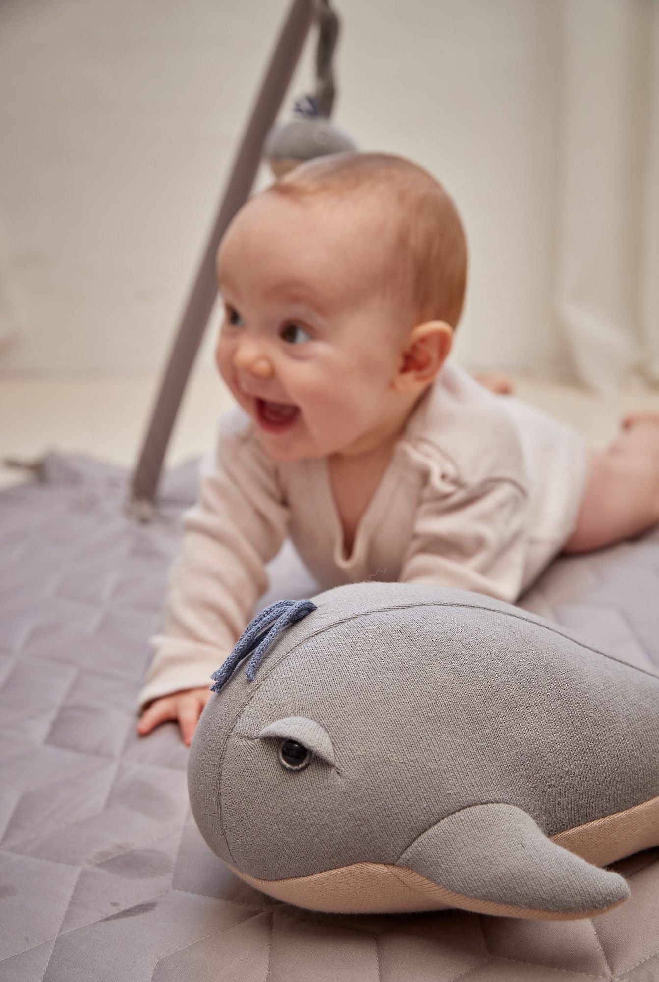 Kuscheltier 30 cm - Willie der Wal Grey